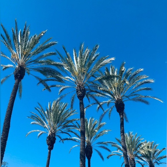 🌟Meet your Posh Ambassador, Diane - Picture 10 of 15